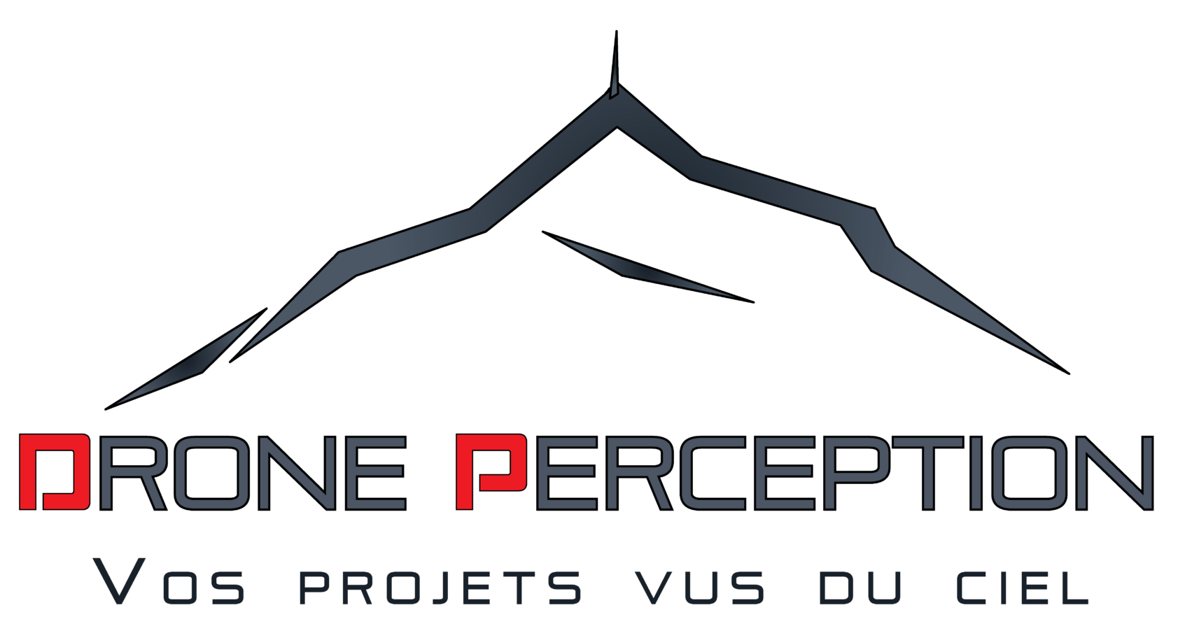 DronePerception